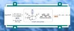 Angew. Chem. Int. Ed.：铁（IV）炔基络合物的合成及其形成 1,3-二炔的反应活性研究