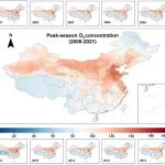 北京师范大学硕士生杨泽宇一作在遥感领域顶级期刊RSE上发表研究成果！