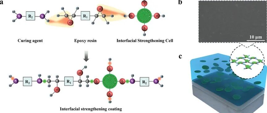 文献分享 | Adv. Funct. Mater. | 用超疏水单元提高环氧涂层的抗腐蚀和抗结垢性能