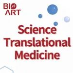 Sci Transl Med丨何伟玲/王雄军/张蔚菁/李国辉合作揭示代谢酶NIT2抑制BRD1相分离增强胃癌化疗敏感性的作用机理