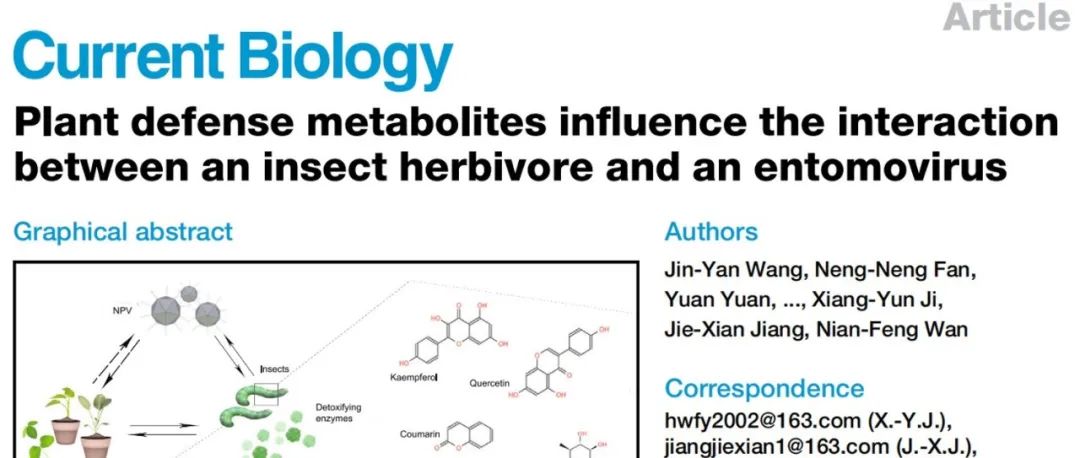 Cell子刊 | 华东理工大学万年峰组合作成果：植物多样性影响病毒杀虫剂杀虫效果的机制