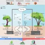 One Earth | 东北林业大学何念鹏教授团队揭示森林氮饱和的全球模式