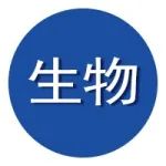 杜学敏团队Matter：活性界面材料精准调控外泌体分泌促血管神经协同修复