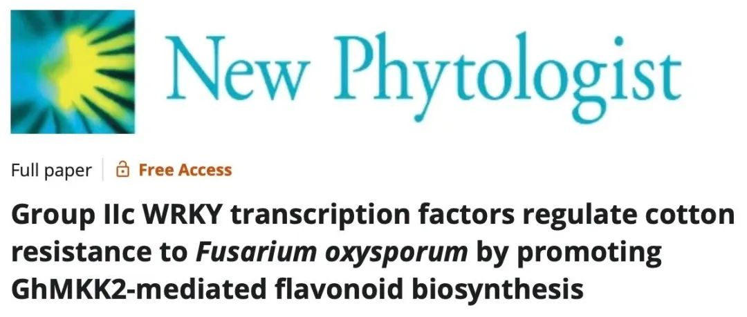 文献分享｜IIc组WRKY转录因子通过促进GhMKK2介导的黄酮类化合物生物合成来调节棉花对尖孢镰刀菌的抗性
