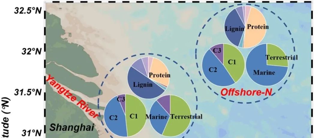 【视点】福州大学杨丽阳团队：长江口外沉积物有机质的稳定同位素、光学和高分辨质谱表征及其碳汇机制