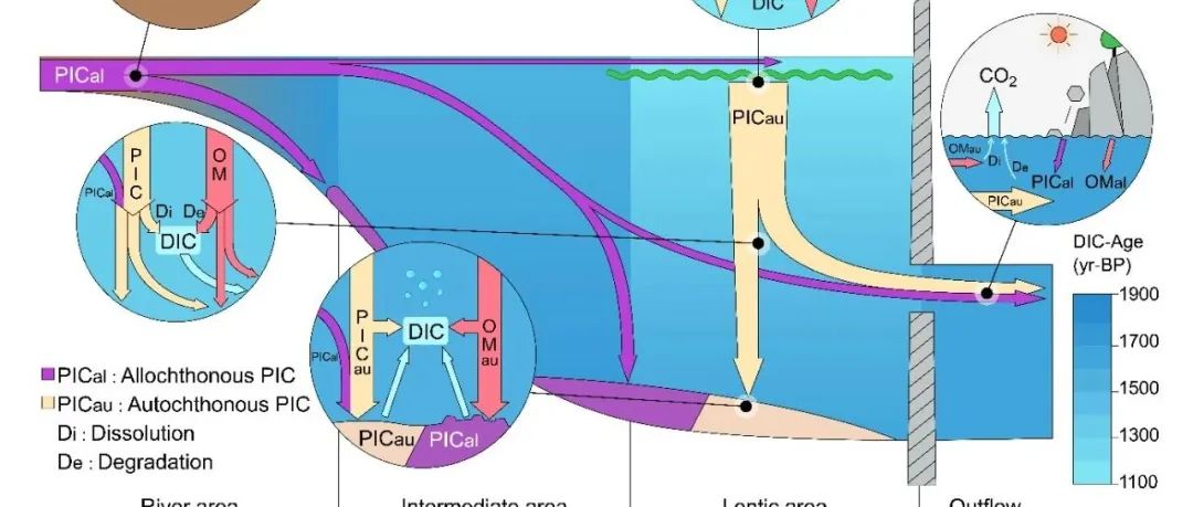 【科研应用】PHREEQC水文地球化学模拟；水体化学成分，定量分析水中溶解物质浓度，pH、Eh、刻画吸附-解吸、氧化-还原等