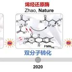 南京大学黄小强团队Nature: 三组分光生物催化体系