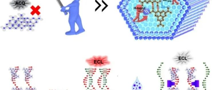 AC.氢键诱导的蜜勒胺组装体抵抗聚集引起的猝灭以实现对新冠病毒抗原的超灵敏电化学发光检测