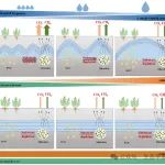 连发3篇一区top！烟台海岸带所在降雨变化对滨海湿地碳循环影响机制方面取得新进展