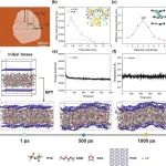 北航宫勇吉最新Nature子刊：高能锂金属电池中的宏观均匀界面层与锂离子传导通道