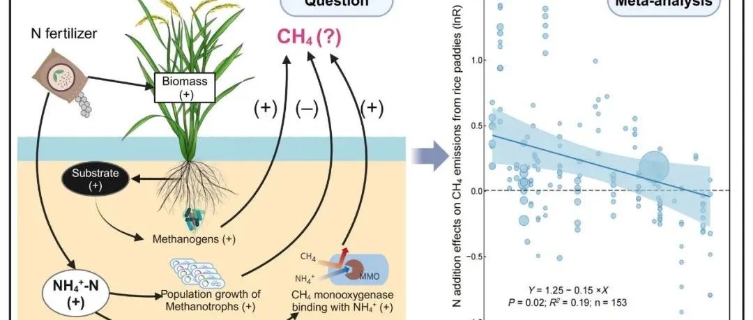 稻田CH4排放丨GLOBAL CHANGE BIOL：土壤pH值决定氮对稻田甲烷排放的影响