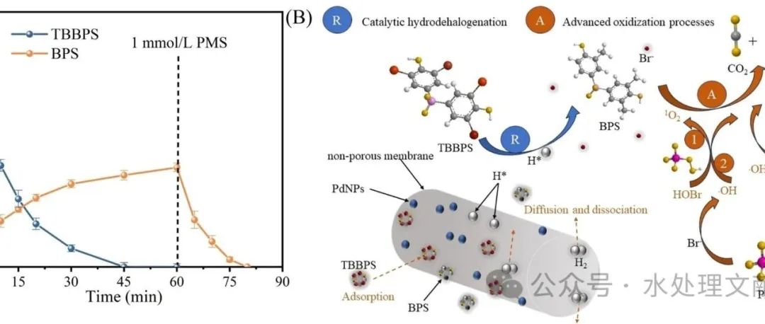 文献速递|同济大学SPT:钯纳米颗粒通过耦合催化加氢脱卤和高级氧化过程，促进四溴双酚S的快速脱溴和完全矿化