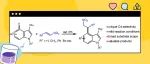 郑州轻工业大学刘双良J. Org. Chem.：铑催化吲哚与硝基烯烃的选择性C4烷基化反应