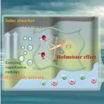 长安大学白波团队WR：霍夫迈斯特效应诱导水凝胶的水活化及其加速盐水蒸发中的应用