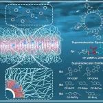 南科大宋桥课题组 Angew：刚柔并济 - 利用基于自组装环肽的超分子骨架构筑水相室温磷光材料