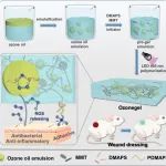 西京医院石小鹏、长安大学颜录科 JCR：具有持续释放臭氧增强抗菌性能并改善伤口愈合的新型臭氧化油乳液水凝胶