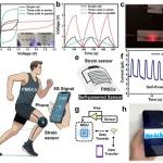 青岛大学《ACS ANM》：基于碳量子点/多壁碳纳米管的自供电应变传感器，用于远程人体运动检测