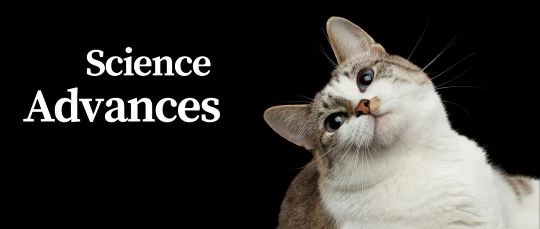 Science Advances | 猫眼相机“看穿”伪装