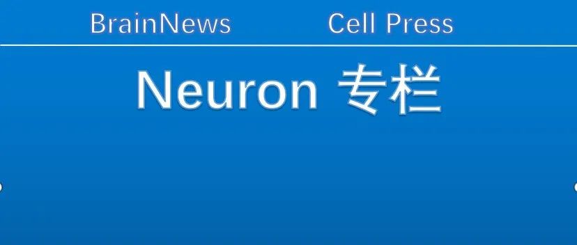 Neuron重要综述：大脑白质老化——超微结构、细胞分子机制、神经炎症和脑功能