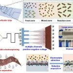 南工陈苏教授团队Sep.Purif.Technol.：多通道微流控静电纺丝技术宏量构筑纳米纤维膜用于污水净化