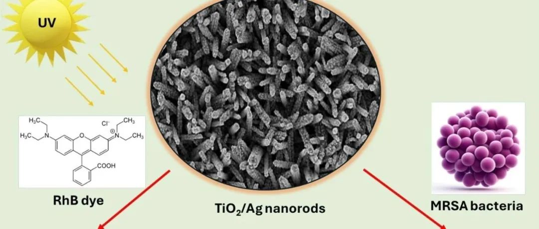 文献速递|皇家墨尔本理工大学JCIS:在二氧化钛纳米棒阵列上沉积无电解银纳米粒子，增强光催化和抗菌性能