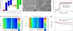 孙学良，Nature Nanotechnology！