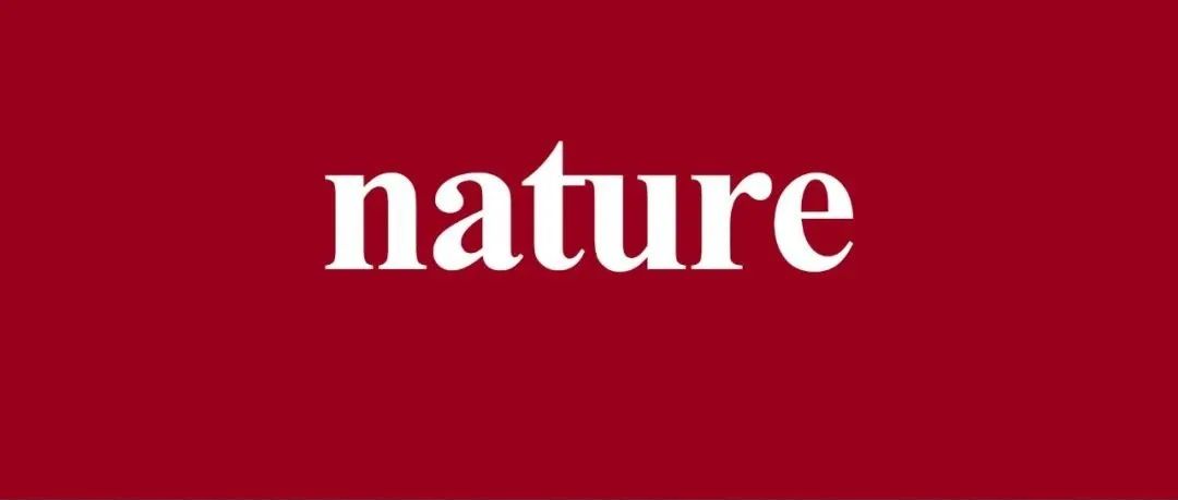 连发多篇Nature！材料领域迎来超前创新设计！引发全球科学家的关注！