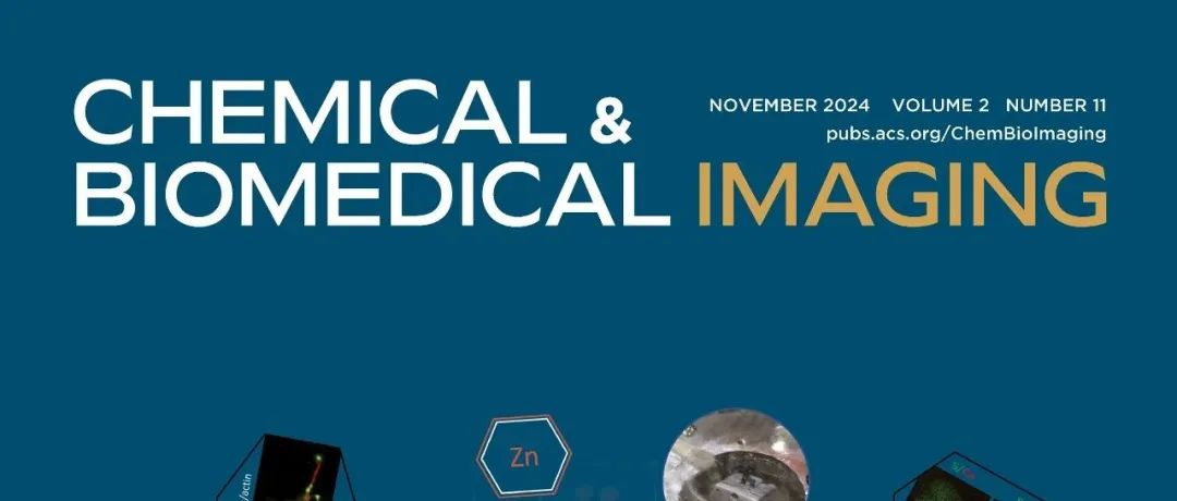 Chemical & Biomedical lmaging 2024年11期发布| 祝贺期刊被Pubmed Central收录！