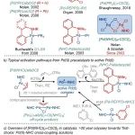 Michal Szostak 团队： [Pd(NHC)(μ-Cl)Cl]2 一种高反应性的 Pd(II)–NHC 预催化剂