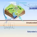 南科大梁修雨课题组Water Resources Research：非饱和带对地下水动力过程影响机制方向系列研究成果