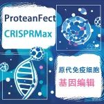 颠覆传统CRISPR递送技术：ProteanFect突破原代免疫细胞基因编辑效率瓶颈