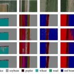 文献解读｜中国农科院信息所科研团队构建新型轻量级模型助力无人机实时农作物分类
