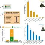 西北农林科技大学胡振宏教授课题组在国际生态学权威期刊《Journal of Ecology》发表新进展！