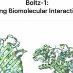 Boltz-1：第一个完全商业可访问、达到AlphaFold3级别准确率的模型