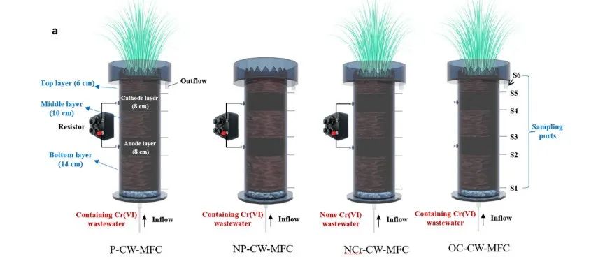 【文献精选】J.Water Process.Eng. |芦苇人工湿地耦合微生物燃料电池(CW-MFC)脱除六价铬并发电