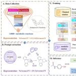 BIB｜基于深度语言模型和提示工程的药物代谢产物的预测