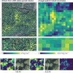 Nature最新子刊！哥本哈根大学Martin Brandt教授综述，用于树木资源监测的高分辨率传感器和深度学习模型