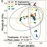 Journal of Ecology | 西北农林科技大学胡振宏教授课题组在土壤真菌对死木真菌群落构建的影响研究中取得新进展