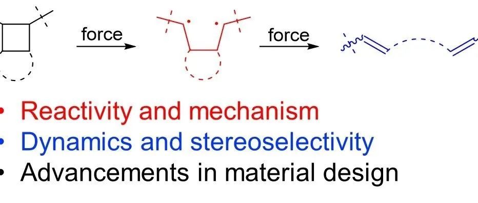 阿克伦大学王军鹏课题组：环丁烷的力化学综述