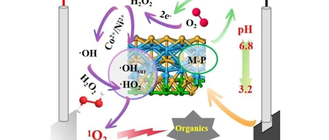 文献速递|中国石油大学JCIS:CoP/Ni2P@NF在环中性pH下通过异相电-芬顿过程高效生成1O2以降解磺胺甲基嘧啶