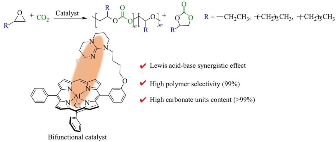 中国科学院长春应用化学研究所王献红团队研究论文：双功能卟啉铝催化二氧化碳与长链末端环氧化物共聚