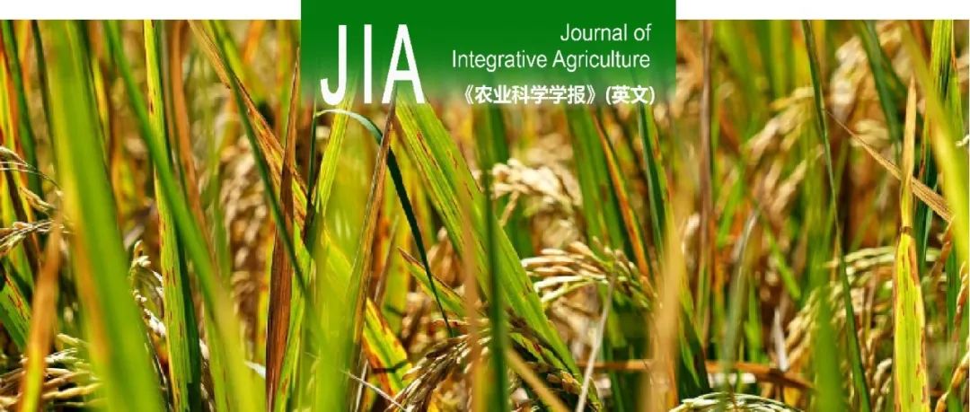 JIA｜扬州大学高辉教授稻田综合种养课题组优化施氮对稻虾共作系统水稻抗倒伏特性和产量形成影响的研究