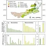 冯晓娟团队GRL：根源微生物残体--被忽视的草地土壤碳组分