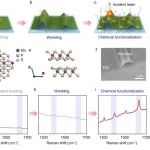 Nature Commun：机械化学产生褶皱2D MnPS3实现超高灵敏度分子传感