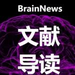 DEV COGN NEUROS-NETH ：过渡使用社媒恐影响青少年大脑活动和心理健康