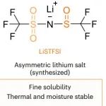 研究前沿：清华大学化学工程系刘凯团队锂电池-界面相 | Nature Energy