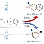 研究前沿：东北师范大学毕锡和团队-单原子骨架编辑 | Nature Chemistry