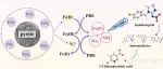 文献速递 | 兰州大学Chemosphere：天然黄铁矿活化PS：Fe(IV)和硫物种作用