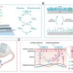 【Biosensors and Bioelectronics】用于高效葡萄糖检测的可重复使用的镓基电化学传感器