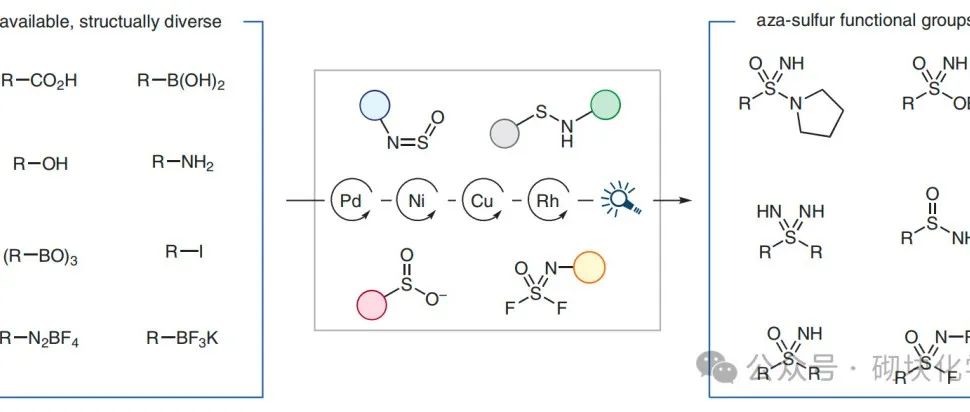 Synthesis｜氮杂-硫基团的催化合成｜综述